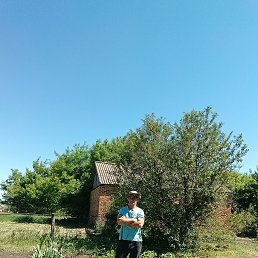 , 54, 