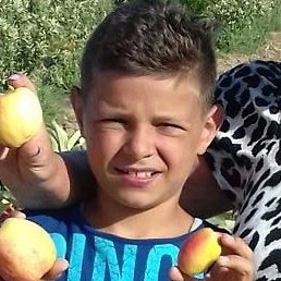 �������, �����������, 66 ���