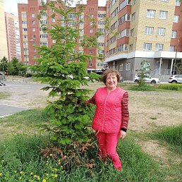 ���� ������, �����������, 66 ��� - ��������� 27 ������� 2026