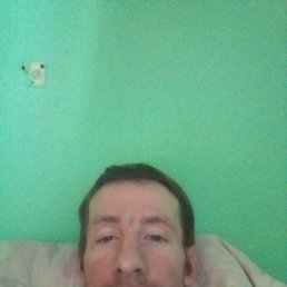 , 37, 