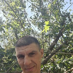, 39 , 