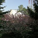 ���� ��������, ���������, 45 ��� - ��������� 26 ������ 2025 � ������ ������ ��������