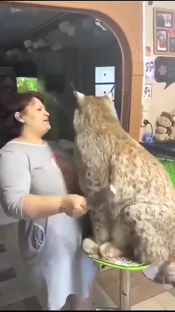 � ������� ������ ����� � ����..