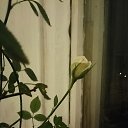 ���� ����, ����, 31 ��� - ��������� 21 ������ 2025 � ������ ������ ���������� ����ۻ