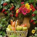 ���� �������, ������� - ��������� 16 ������� 2024 � ������ ������ ��������