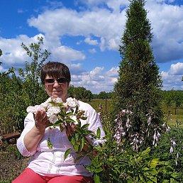 ���������, ������, 56 ���