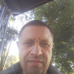 , 53 , 
