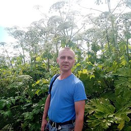 , 44 , 