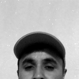 , 38, 