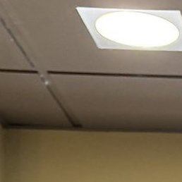 �����, ���������, 52 ����