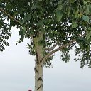 ���� �����, ��������� - ��������� 26 ���� 2025 � ������ ���� ����������