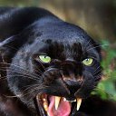 ���� �������, ������������, 60 ��� - ��������� 16 ������ 2026 � ������ ���� ����������