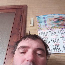 , 37, 