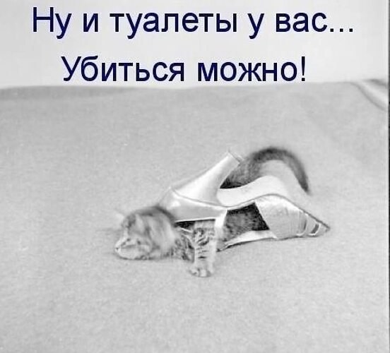   ! - 1  2025  10:36