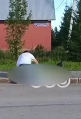 ����, ������, ����������. ����� �� ��� ����� �������� ������ ���� �� 12-����� �������. �������� ��, ...