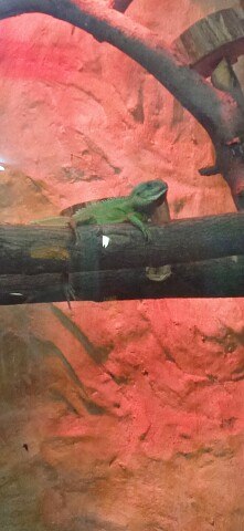 ���� ������, �����������, 63 ���� - ��������� 28 ������� 2023