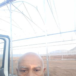 �����, ������, 54 ����