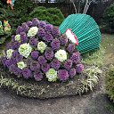 ���� Nesti, �������-����������, 57 ��� - ��������� 21 ����� 2024