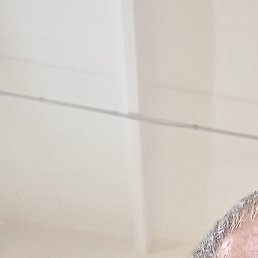 �����, �����-���������, 43 ����