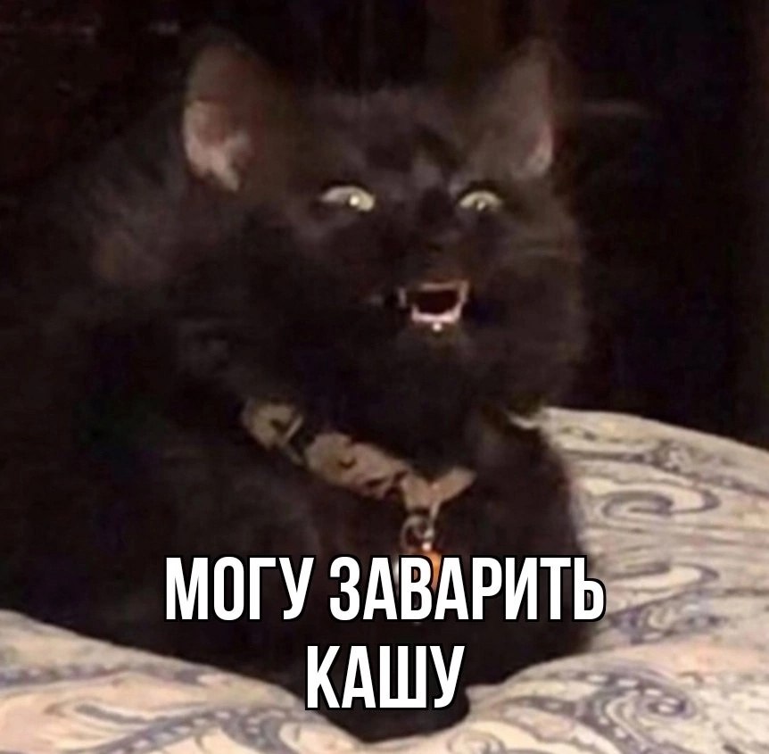  - 3  2025  11:56 - 2