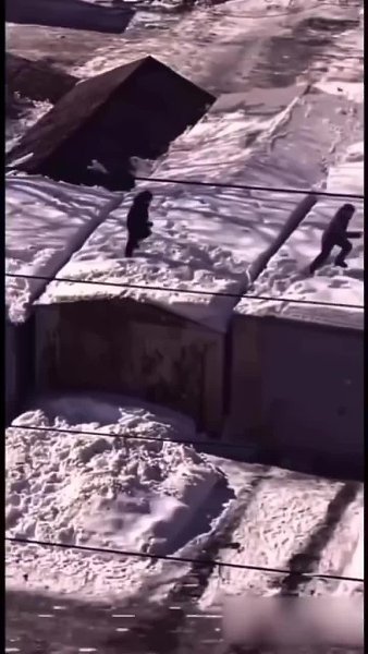 o��oc���. ����� ������� - 2