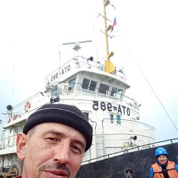 , 43 , 