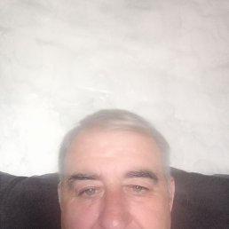 , 56, 