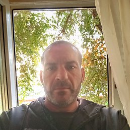 , 44, 