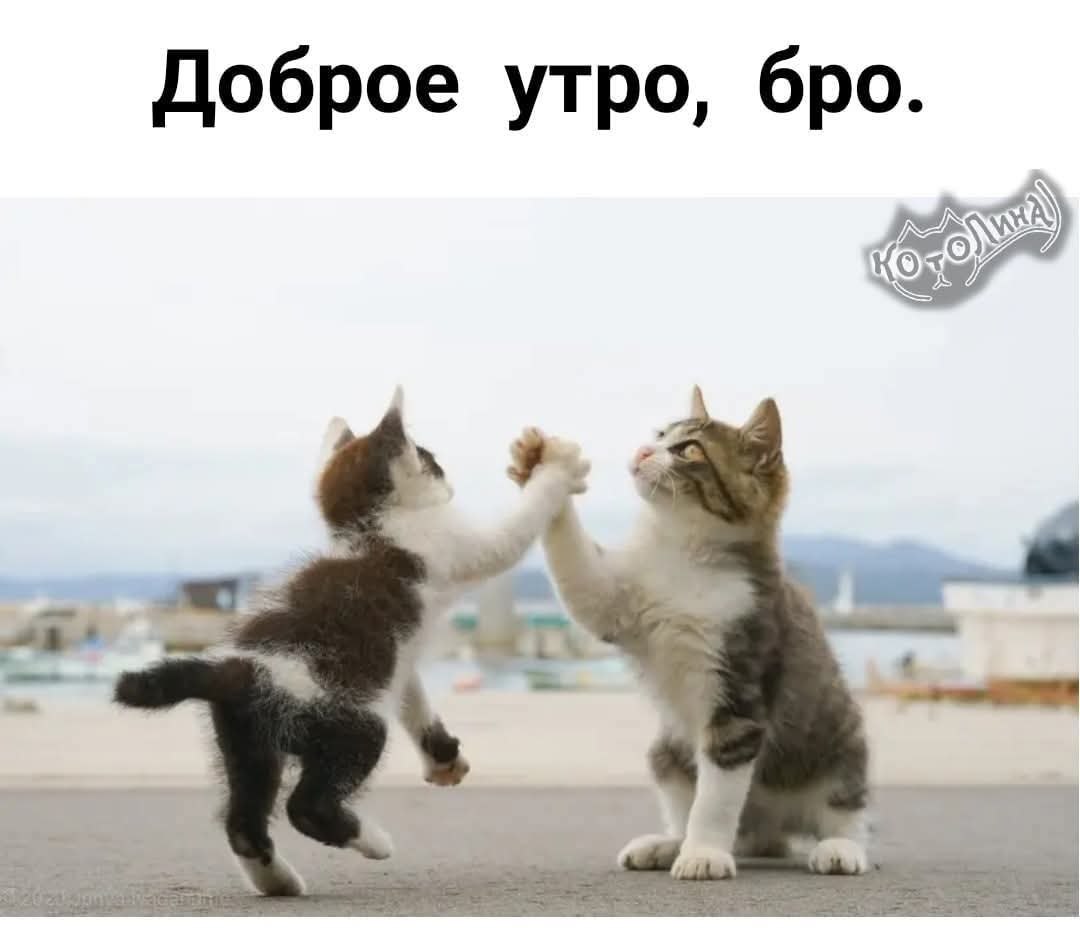 :)