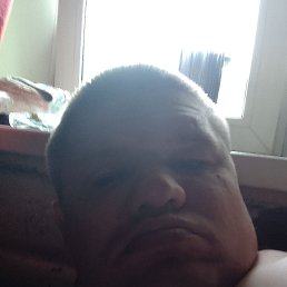 , 38, 