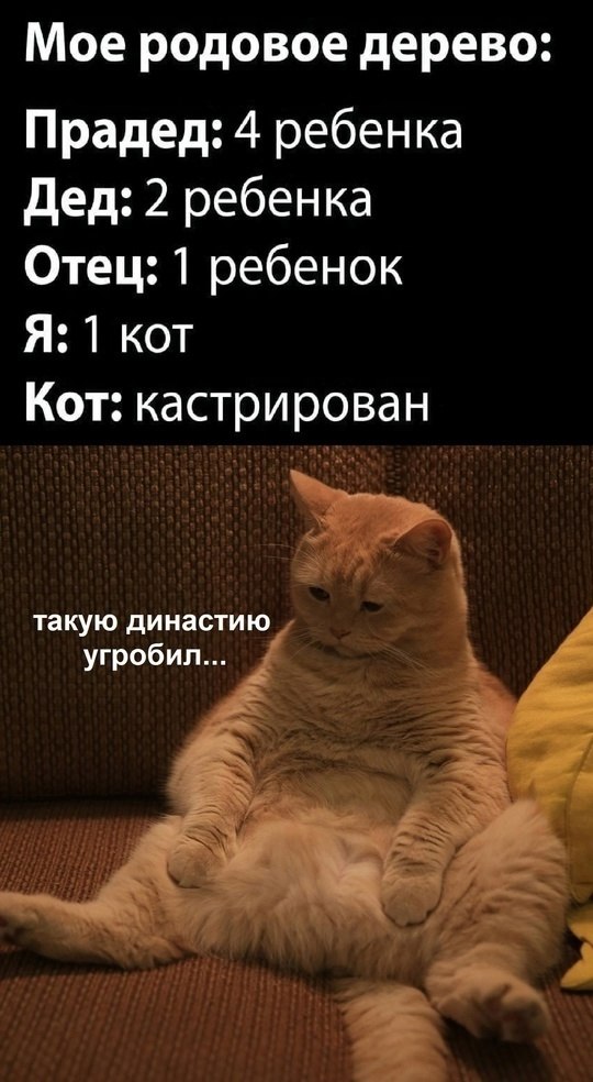  - 4  2025  10:28