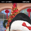 ���� �����, �����, 39 ��� - ��������� 4 ������ 2026