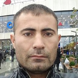 Mansur, ������, 41 ���