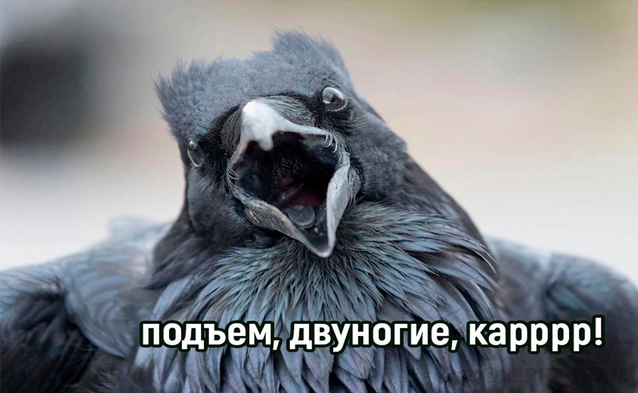 " ") - 28  2023  08:18