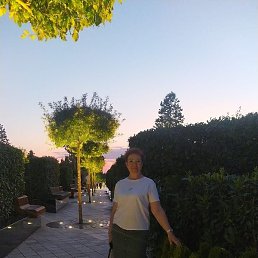 , , 56 