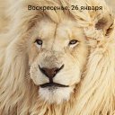 ���� ��������, ���������, 52 ���� - ��������� 3 �������� 2024 � ������ ���� ����������