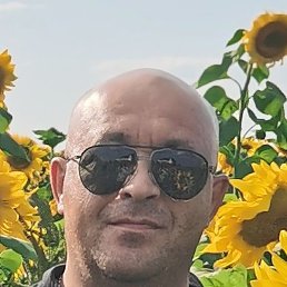 , , 50 