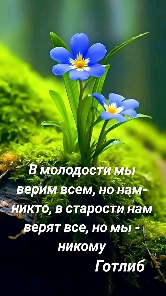 ₪╬═►  ||  ||  ◄═╬₪ - 1  2024  12:40