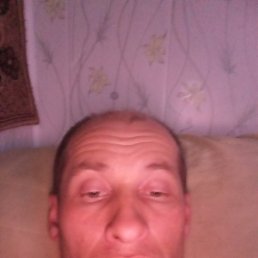 , 37, 
