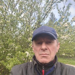 , 55, 