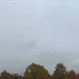 ���� �������, ������, 24 ���� - ��������� 11 ������ 2025