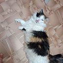 ���� Georgiy, �������� - ��������� 23 ������� 2026 � ������ ���� ����������