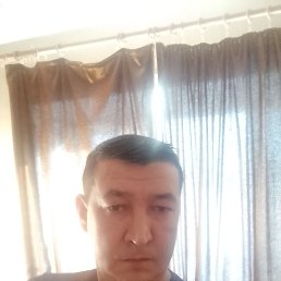 , 40, 