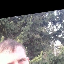 ������, �������, 41 ���