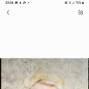 ���� �������, �����, 58 ��� - ��������� 3 ������ 2025 � ������ ���� ����������