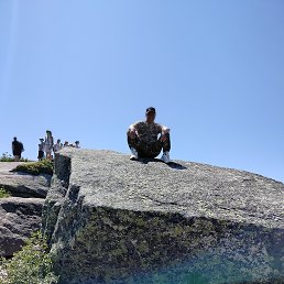 , 44 , 