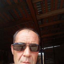 , 41, 