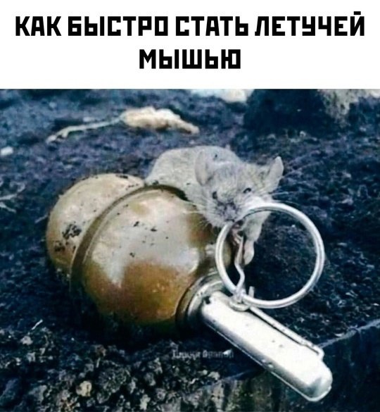  - 31  2025  17:44