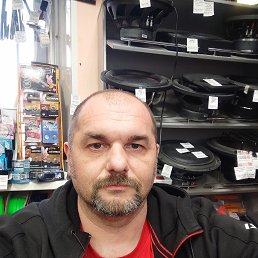 , 44, 