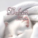 ���� �������, ������, 45 ��� - ��������� 24 ������� 2026 � ������ ������ ��������